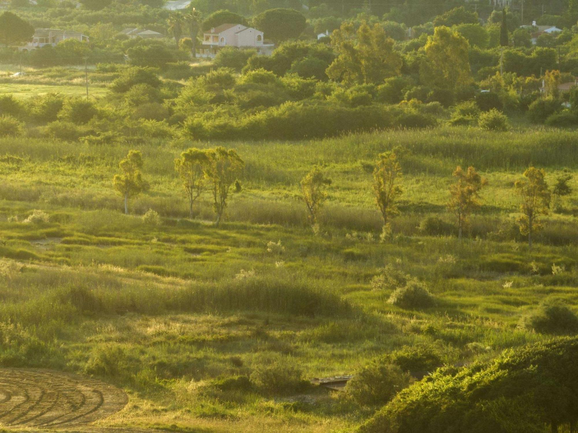 Grecotel Costa Botanica Acharavi  Esterno foto